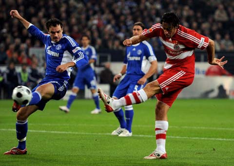 的集体确认 的集体确认